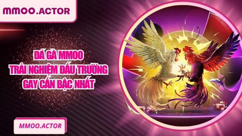 Đá Gà MMOO - Trải Nghiệm Đấu Trường Gay Cấn Bậc Nhất