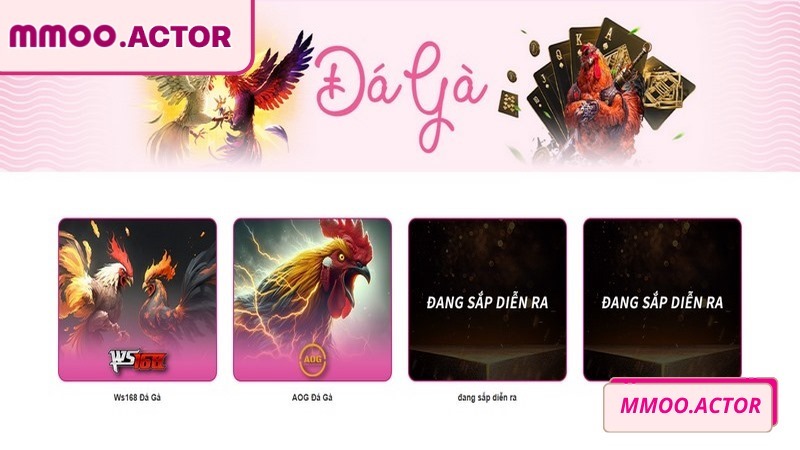 Đá gà MMOO - nơi hội tụ những trận chiến đỉnh cao